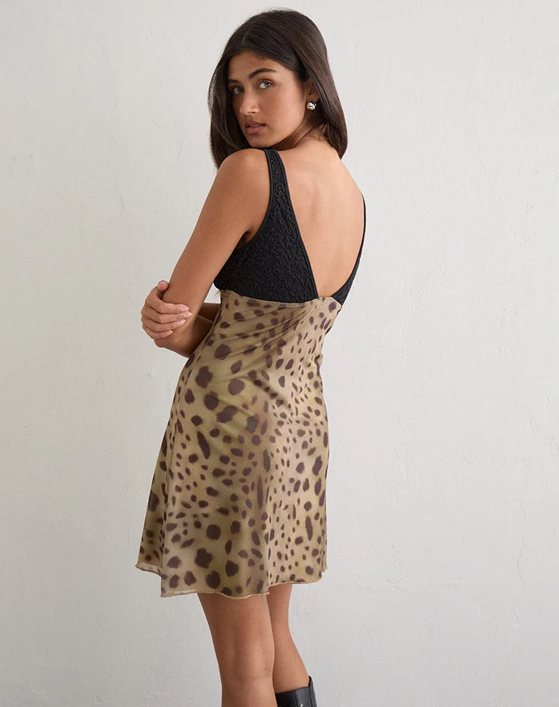 Aemma Minikleid in Schwarz und Netzstoff mit großem Leopardenmuster in Braun