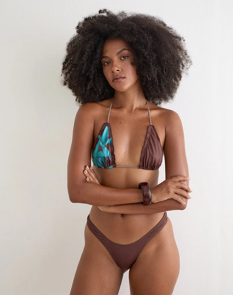 Pumyla-Bikini-Oberteil in Braun mit blauer Wüstenrose
