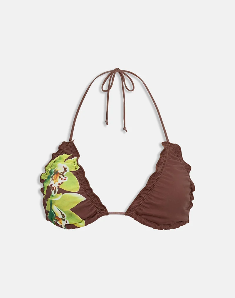 Pumyla-Bikini-Oberteil in Braun mit grüner Dendrobium-Blüte
