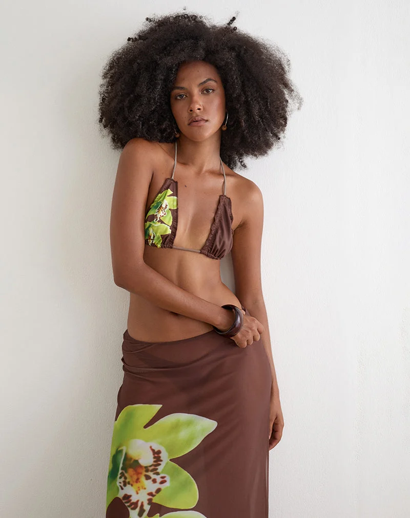 Pumyla-Bikini-Oberteil in Braun mit grüner Dendrobium-Blüte
