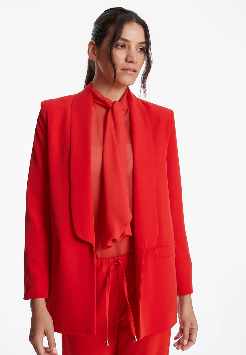 Blazer Zafa
