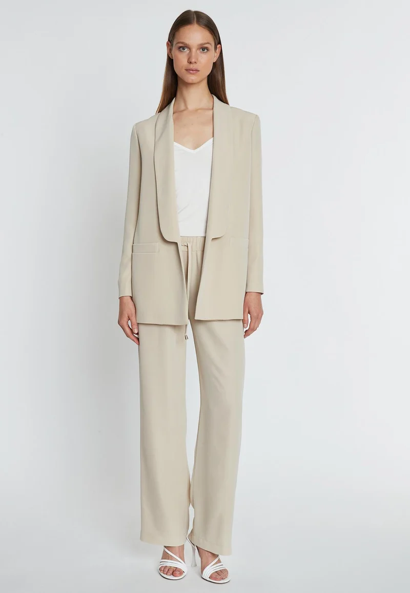 Blazer Ramina