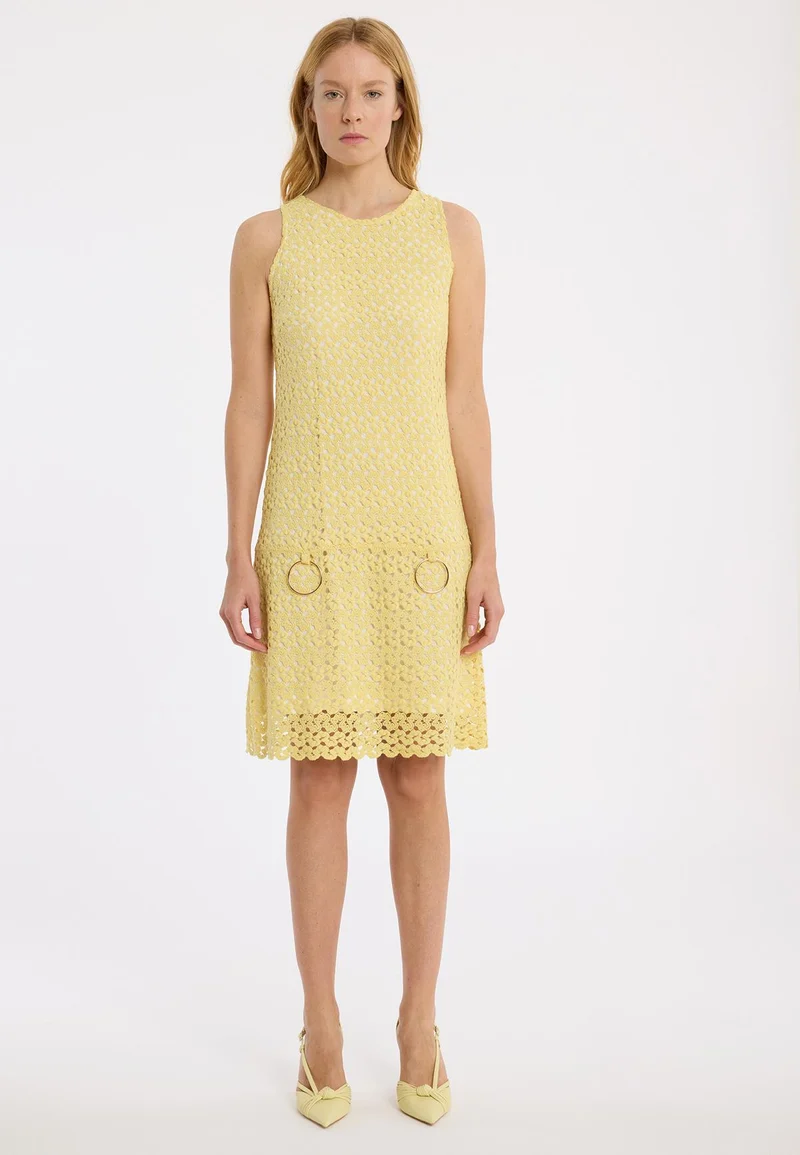 Limitiertes A-Linienkleid Lane