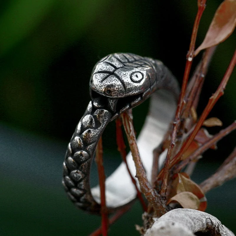 Herren-Punk-Ouroboros-Ring