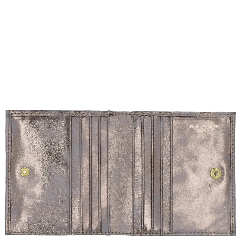 Picard Favourite 1 - Cartera 10cc 10 cm (meteorit)